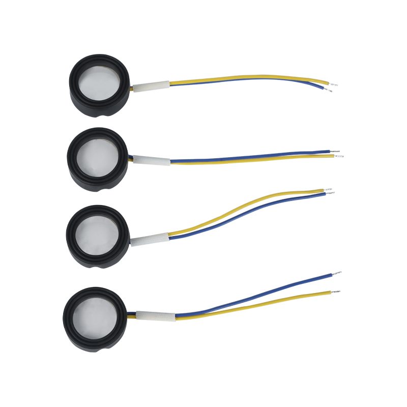 25 mm 1,7 MHz Ultrazvuková vysokofrekvenční atomizace Footbath Wigwam Cloud Mist Terénní úpravy Velké množství atomizace Piezoelektrický keramický převodník Oscilační atomizér Vysoký výkon 220v36w