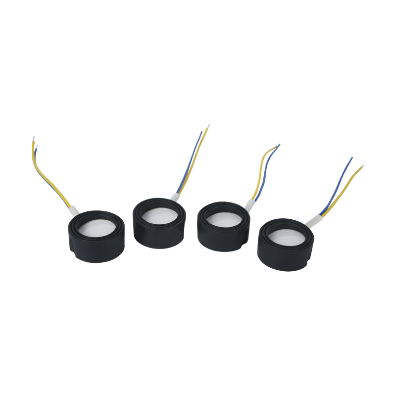 25 mm 1,7 MHz Ultrazvuková vysokofrekvenční atomizace Footbath Wigwam Cloud Mist Terénní úpravy Velké množství atomizace Piezoelektrický keramický převodník Oscilační atomizér Vysoký výkon 220v36w