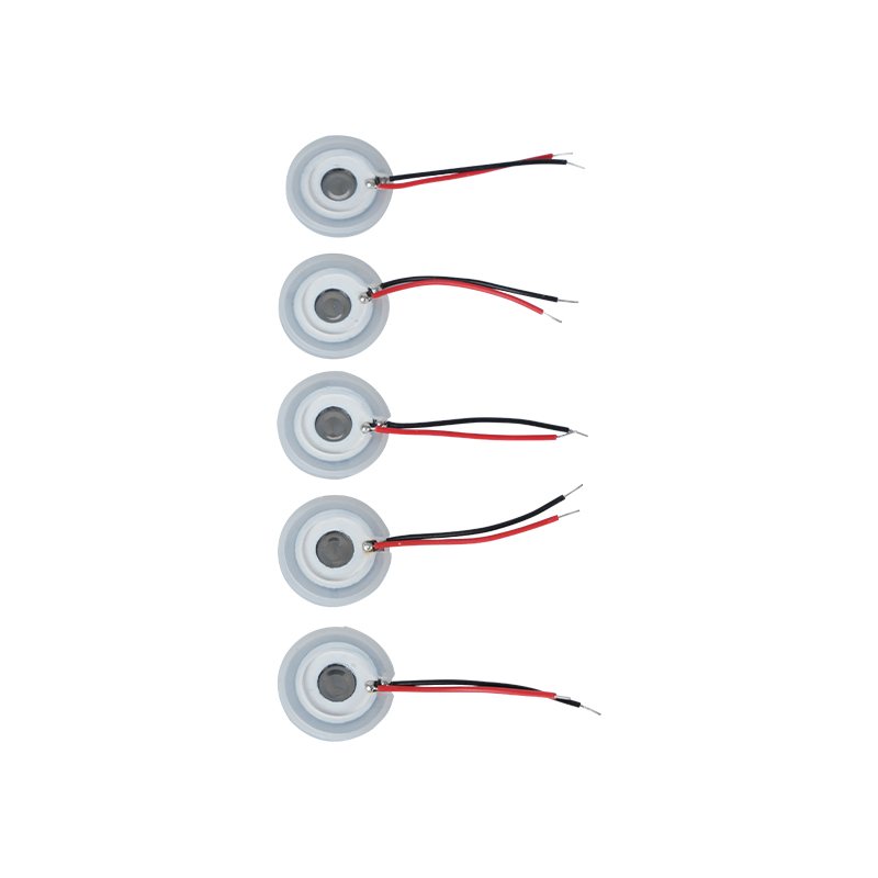 Síťovina z nerezové oceli Ultrazvuková zamlžovací fólie Aroma Zvlhčování esenciálního olejeMikroporézní zamlžovací tác