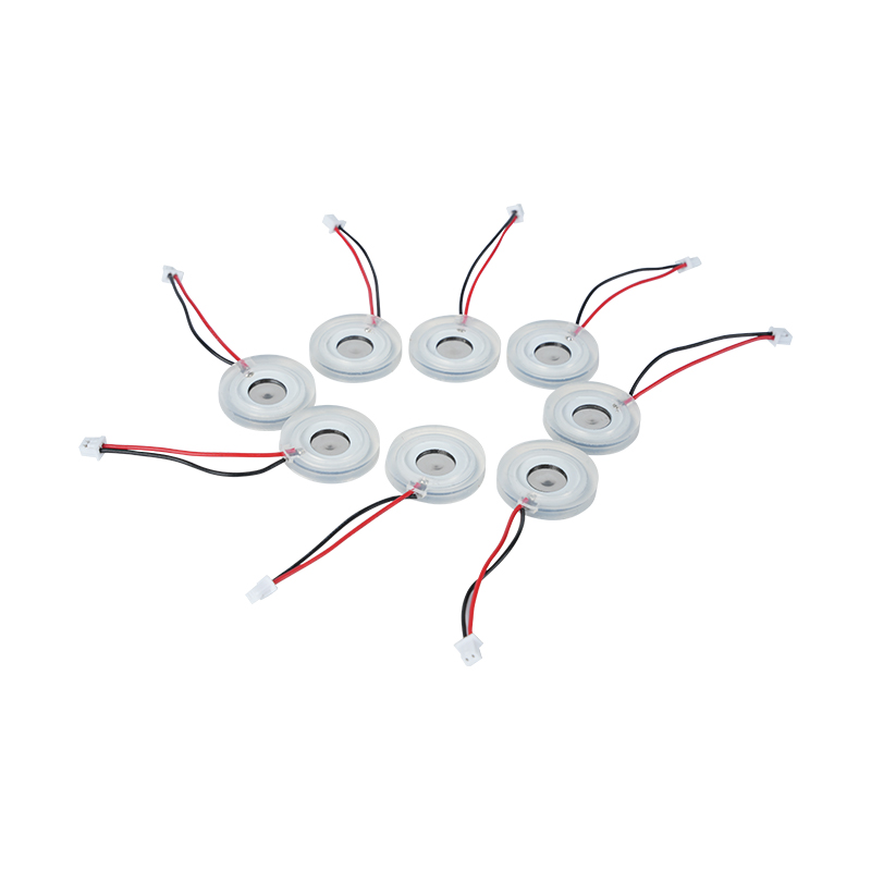 Φ16mm mikroporézní zamlžovací deska Piezoelektrická keramická velkoobjemová mlhová deska Zamlžovací deska Difuzor Rozprašovací deska s otvorem Síťová zamlžovací deska