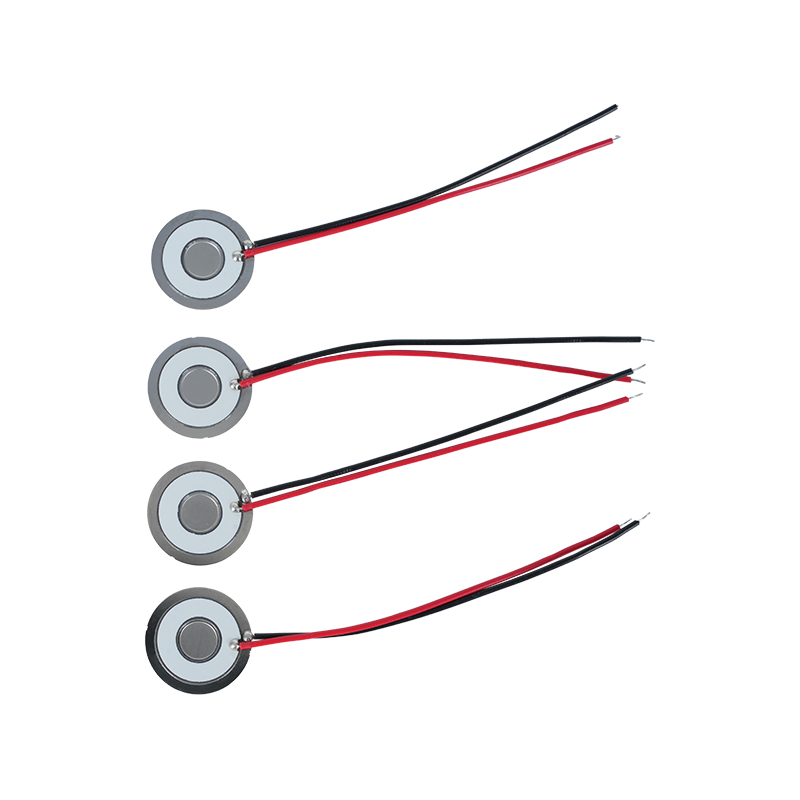 Φ20 Frekvence atomizačního disku 111khz304 Nerezová ocel Micro Mesh atomizační kotouč Síťovina atomizační fólie Klimatizace Chladič Chladnička Čerstvé zvlhčování Síťovina atomizační disperze Rychlost atomizace>800ml/H